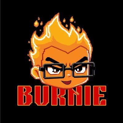 Burnie AI